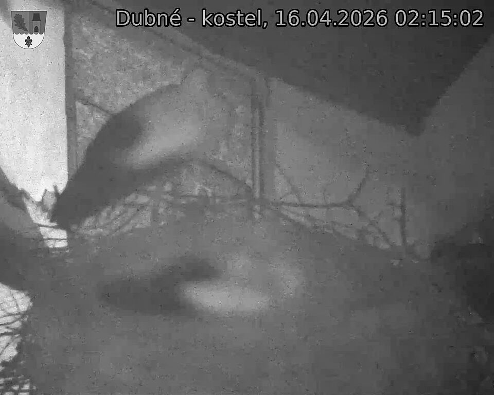 Capi_Dubne_20260416_021502.jpg (1350&nbsp;x&nbsp;1080)
