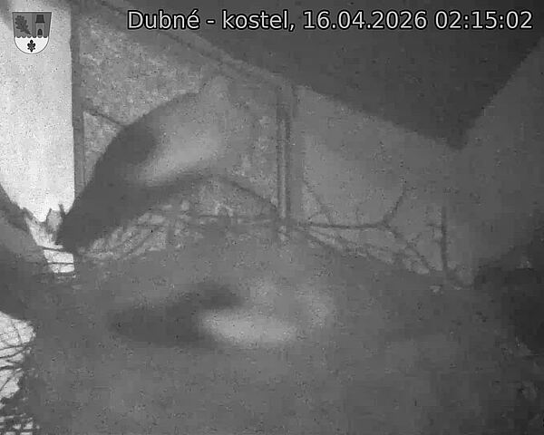 Capi_Dubne_20260416_021502.jpg (1350&nbsp;x&nbsp;1080)