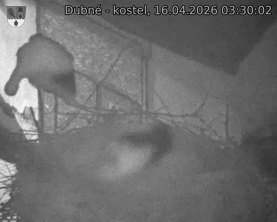 Capi_Dubne_20260416_033002.jpg (1350&nbsp;x&nbsp;1080)