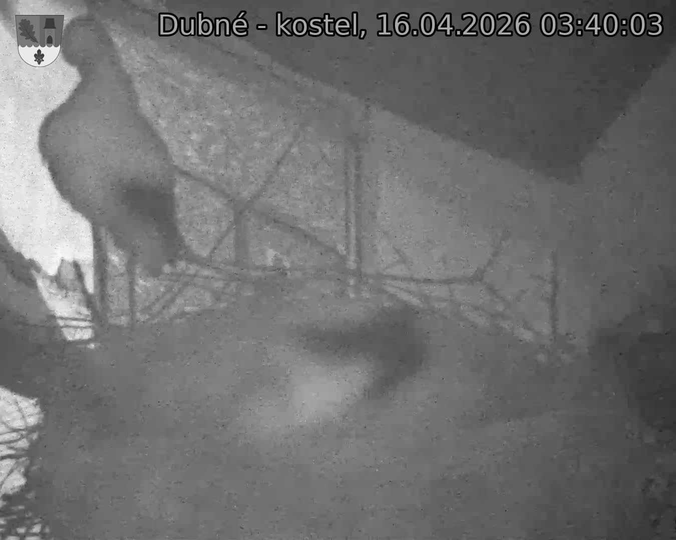 Capi_Dubne_20260416_034003.jpg (1350&nbsp;x&nbsp;1080)