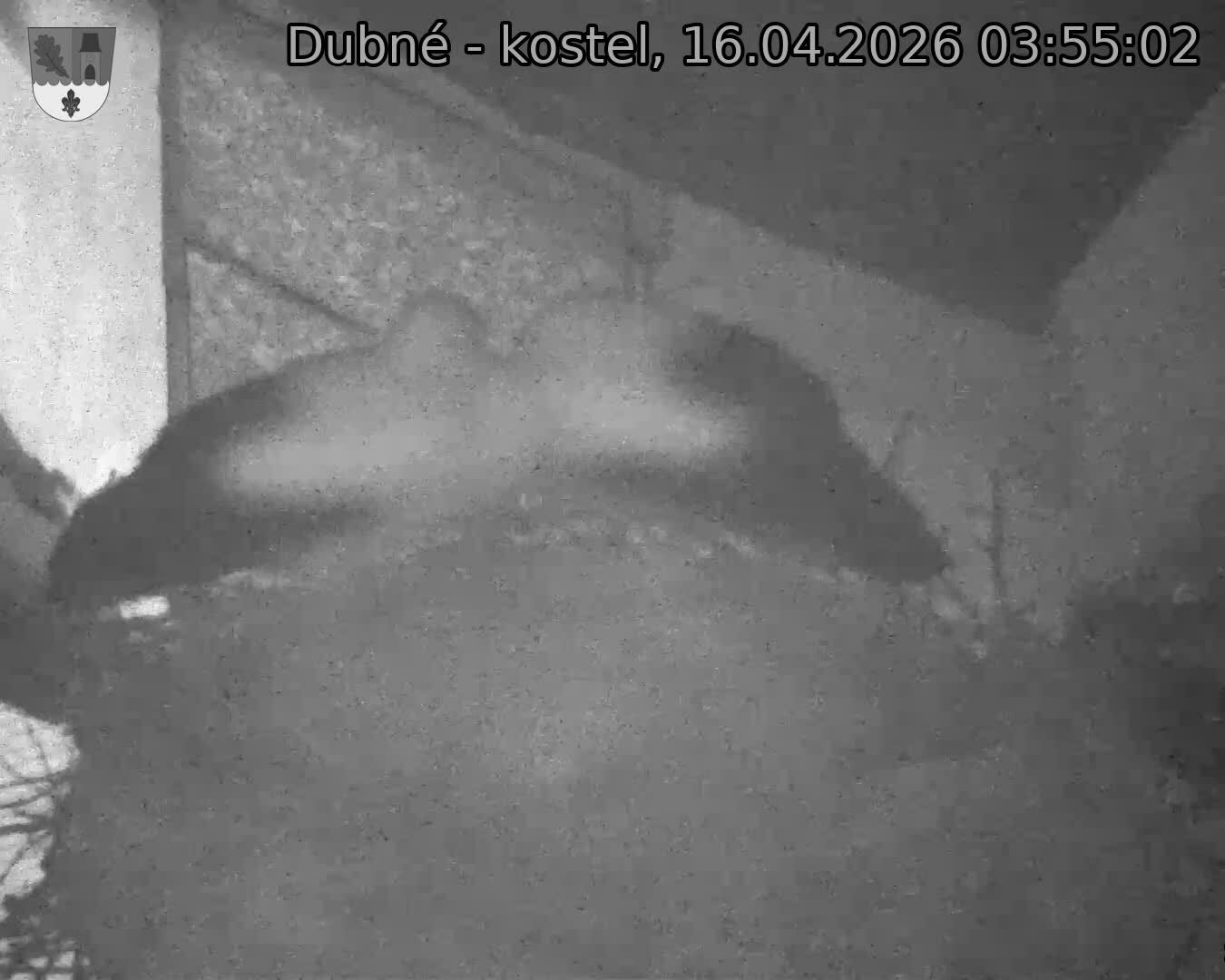 Capi_Dubne_20260416_035502.jpg (1350&nbsp;x&nbsp;1080)