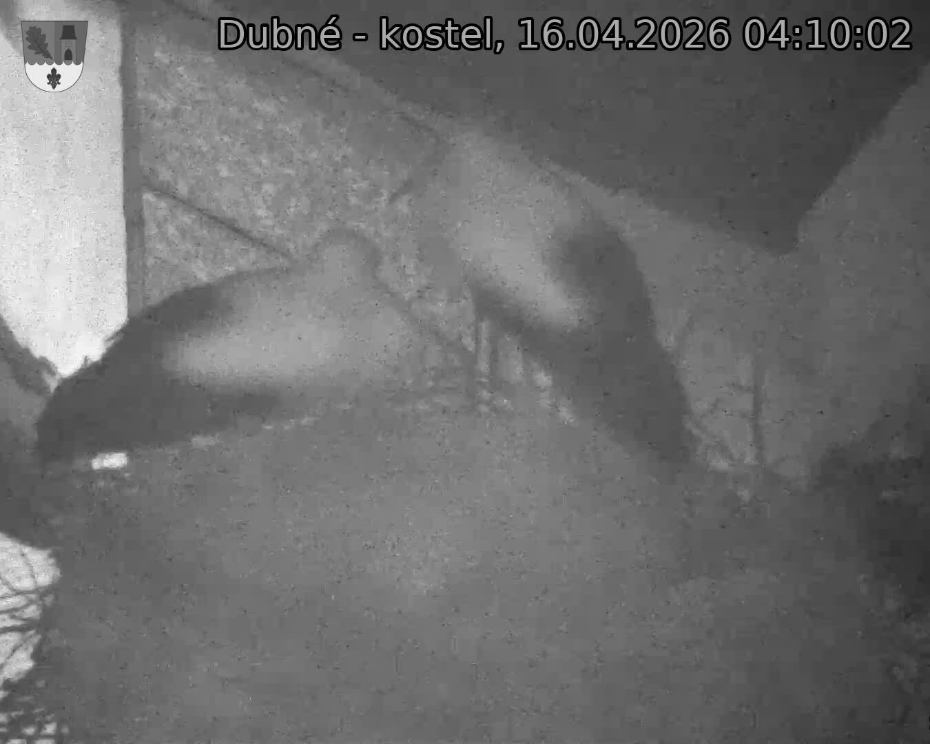 Capi_Dubne_20260416_041002.jpg (1350&nbsp;x&nbsp;1080)