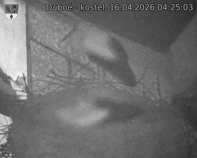 Capi_Dubne_20260416_042503.jpg (1350&nbsp;x&nbsp;1080)