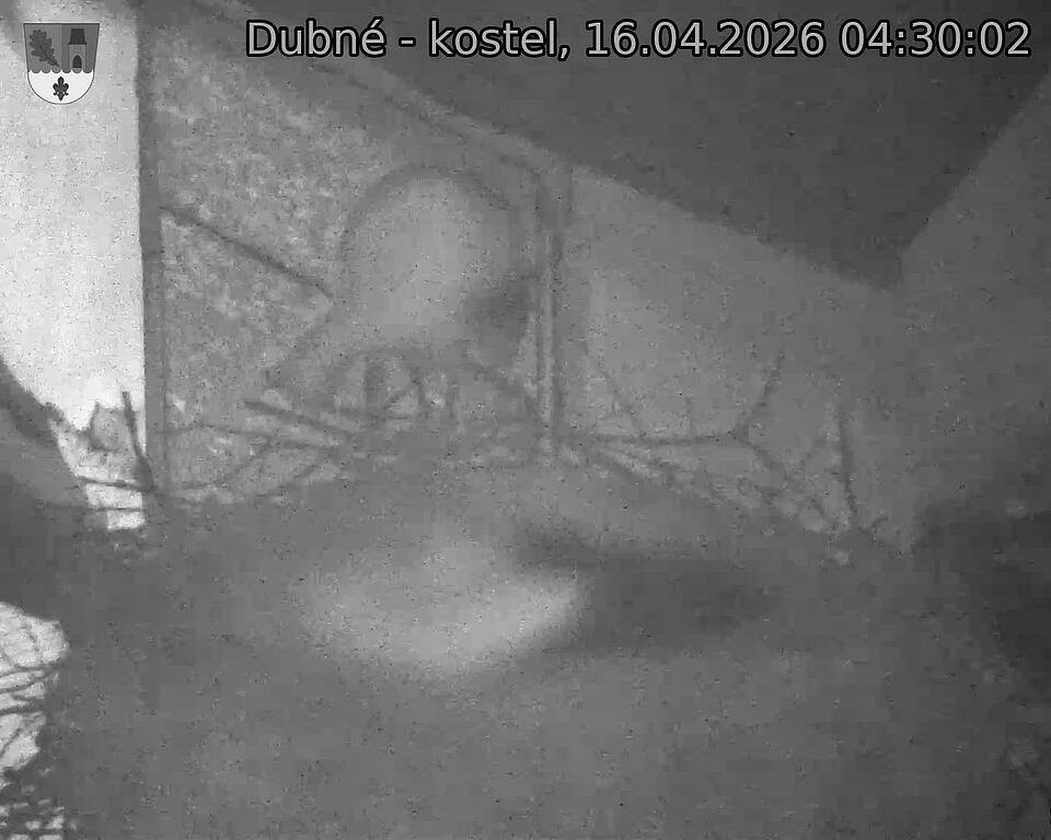 Capi_Dubne_20260416_043002.jpg (1350&nbsp;x&nbsp;1080)