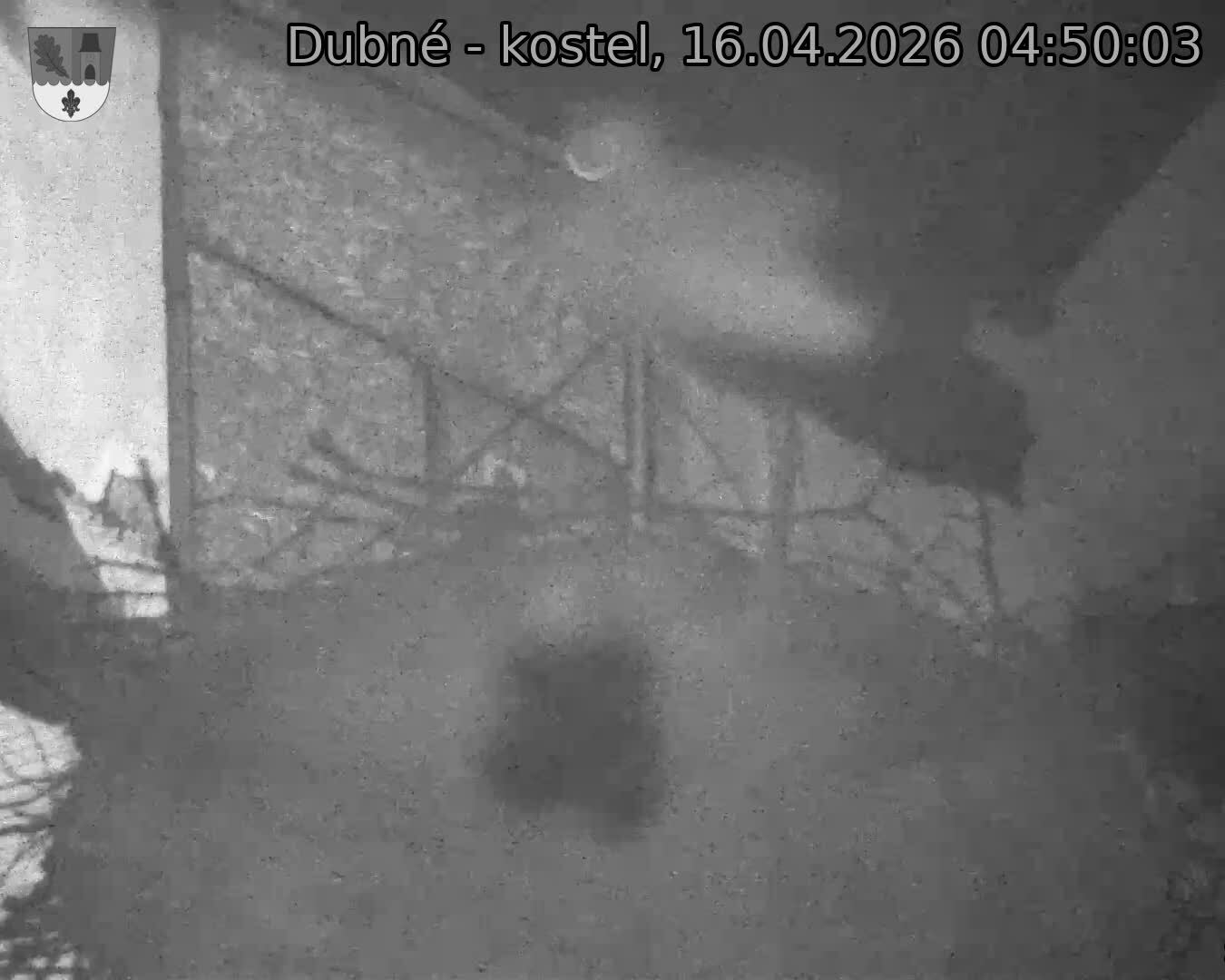 Capi_Dubne_20260416_045003.jpg (1350&nbsp;x&nbsp;1080)