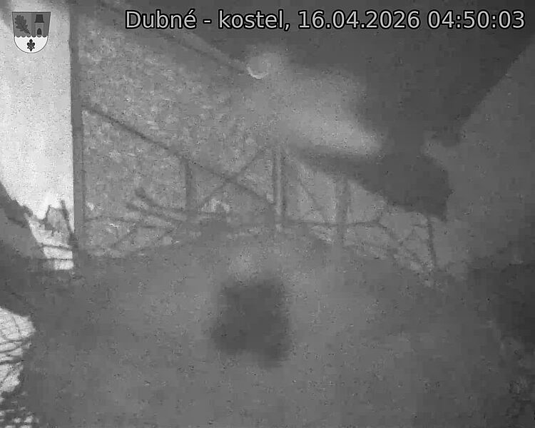 Capi_Dubne_20260416_045003.jpg (1350&nbsp;x&nbsp;1080)