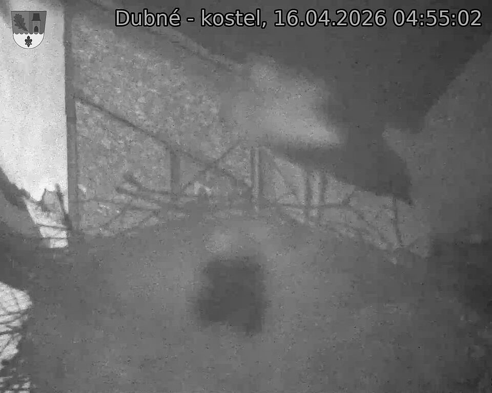 Capi_Dubne_20260416_045502.jpg (1350&nbsp;x&nbsp;1080)