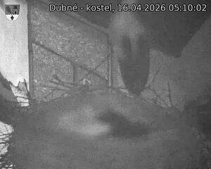 Capi_Dubne_20260416_051002.jpg (1350&nbsp;x&nbsp;1080)