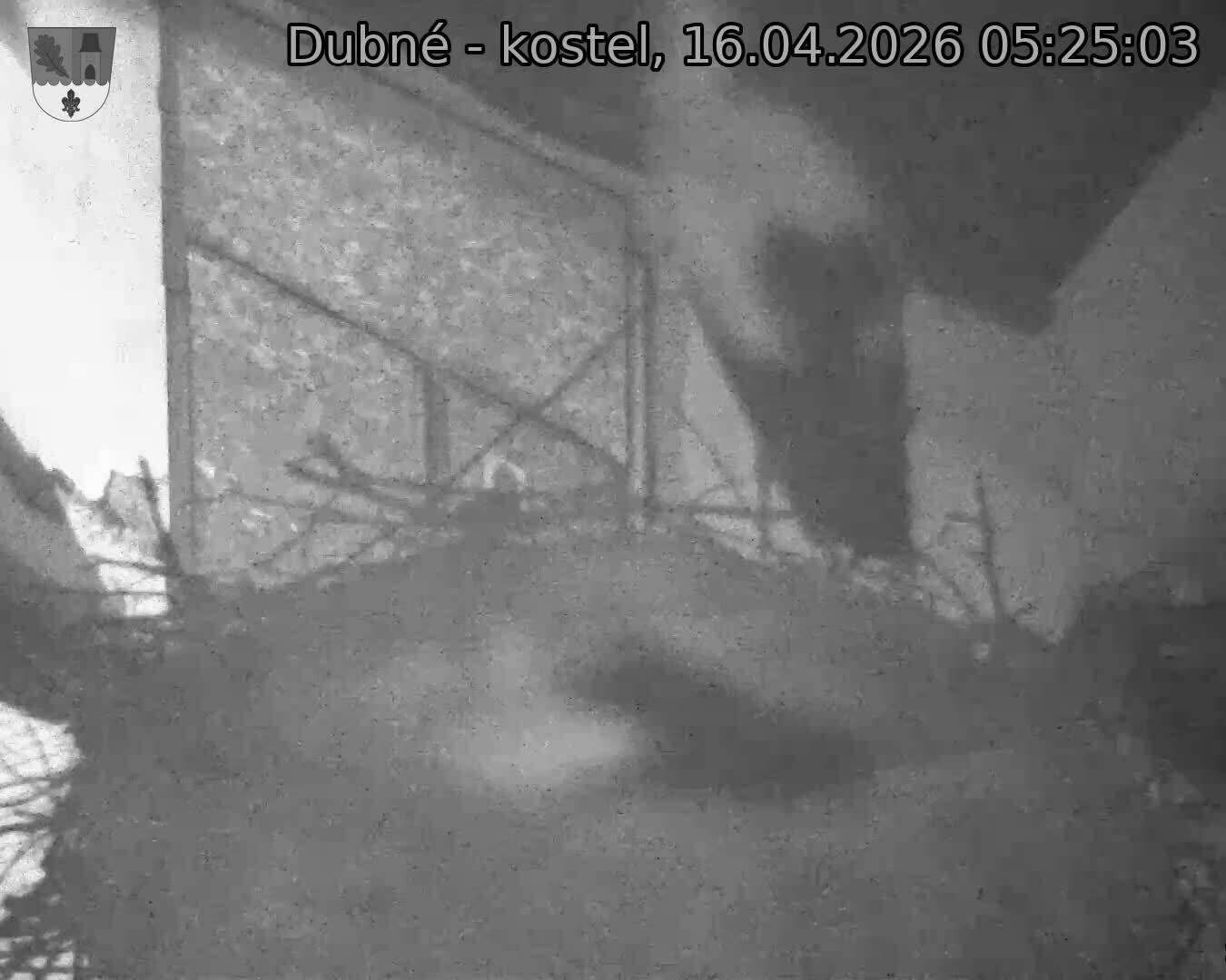 Capi_Dubne_20260416_052503.jpg (1350&nbsp;x&nbsp;1080)