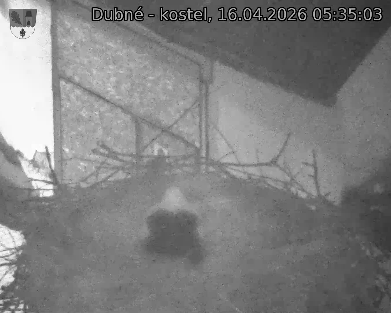 Capi_Dubne_20260416_053503.jpg (1350&nbsp;x&nbsp;1080)
