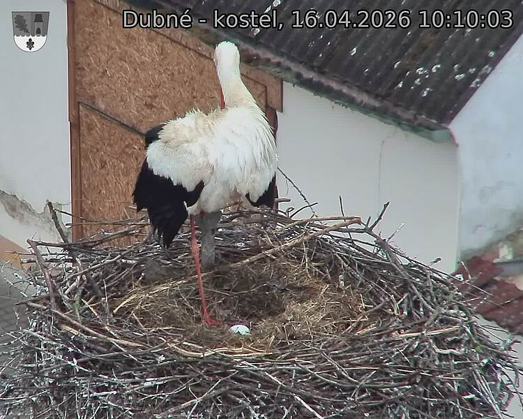 Capi_Dubne_20260416_101003.jpg (1350&nbsp;x&nbsp;1080)