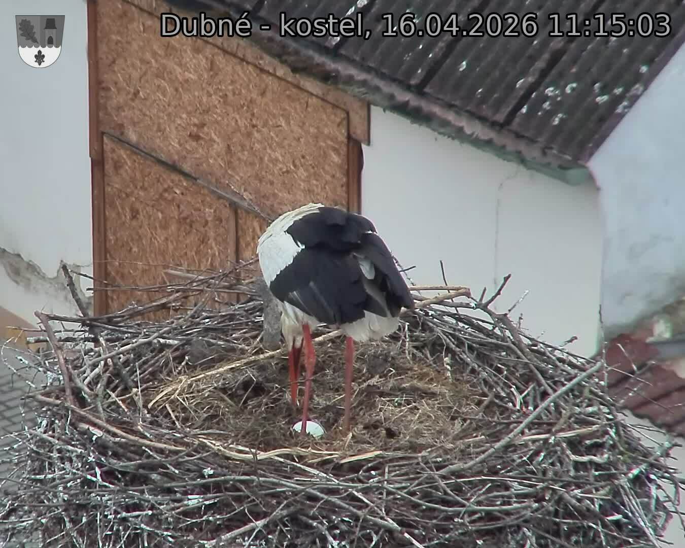 Capi_Dubne_20260416_111503.jpg (1350&nbsp;x&nbsp;1080)