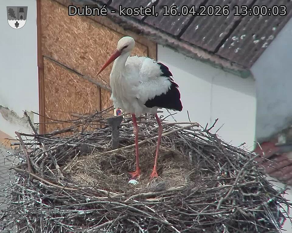 Capi_Dubne_20260416_130003.jpg (1350&nbsp;x&nbsp;1080)