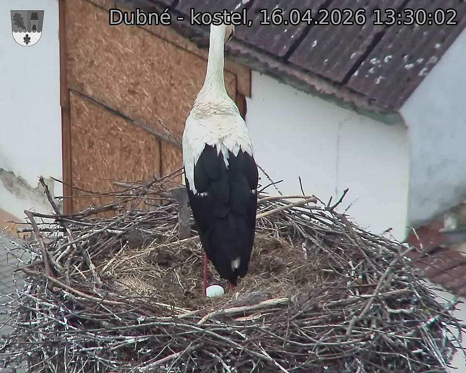 Capi_Dubne_20260416_133002.jpg (1350&nbsp;x&nbsp;1080)