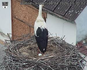 Capi_Dubne_20260416_133002.jpg (1350&nbsp;x&nbsp;1080)