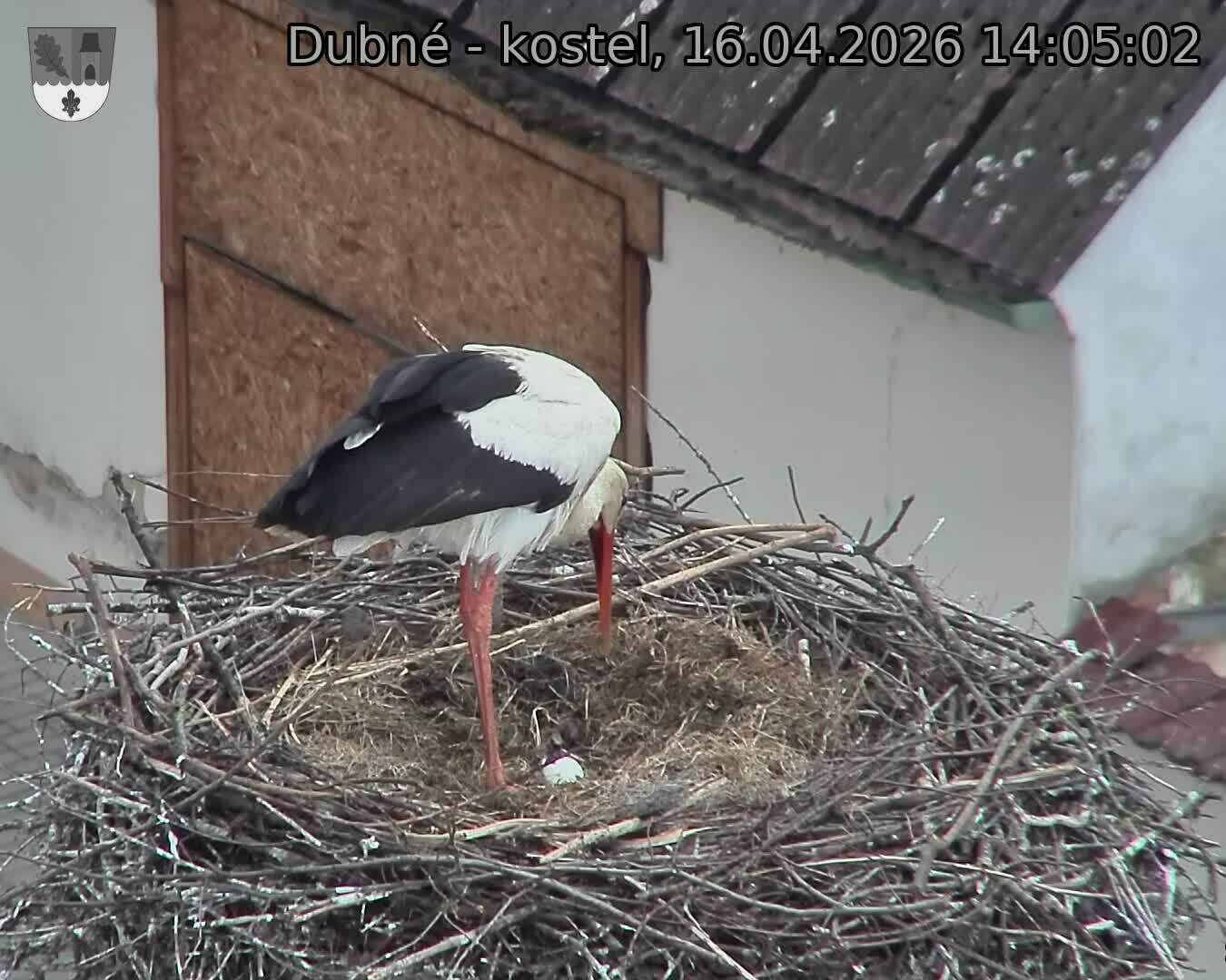 Capi_Dubne_20260416_140502.jpg (1350&nbsp;x&nbsp;1080)