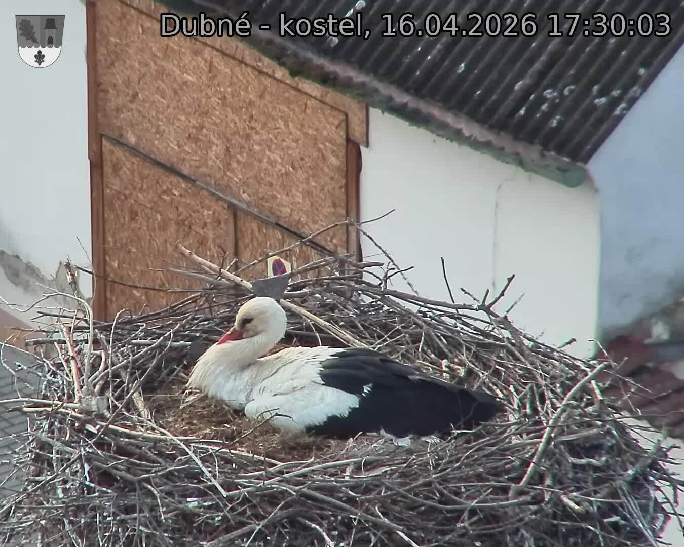 Capi_Dubne_20260416_173003.jpg (1350&nbsp;x&nbsp;1080)