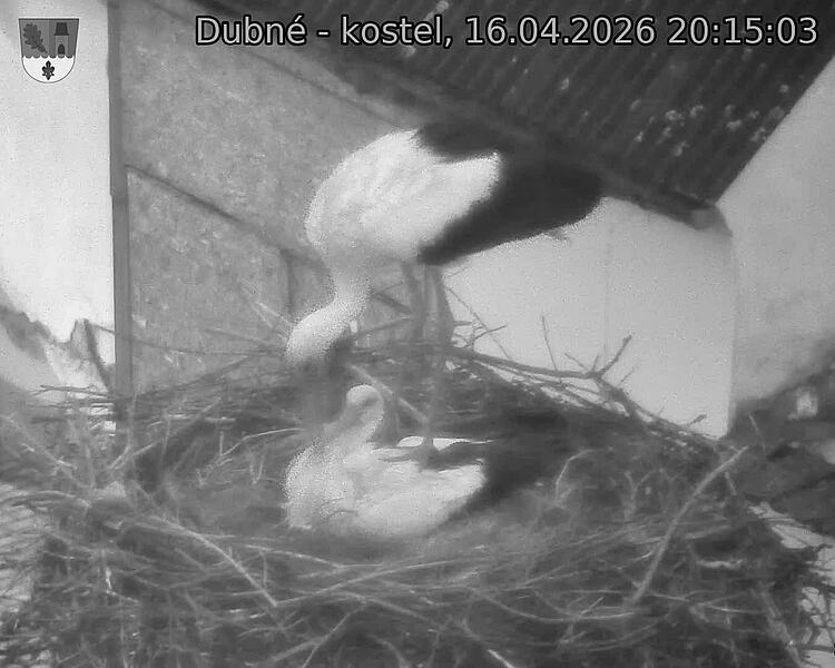 Capi_Dubne_20260416_201503.jpg (1350&nbsp;x&nbsp;1080)