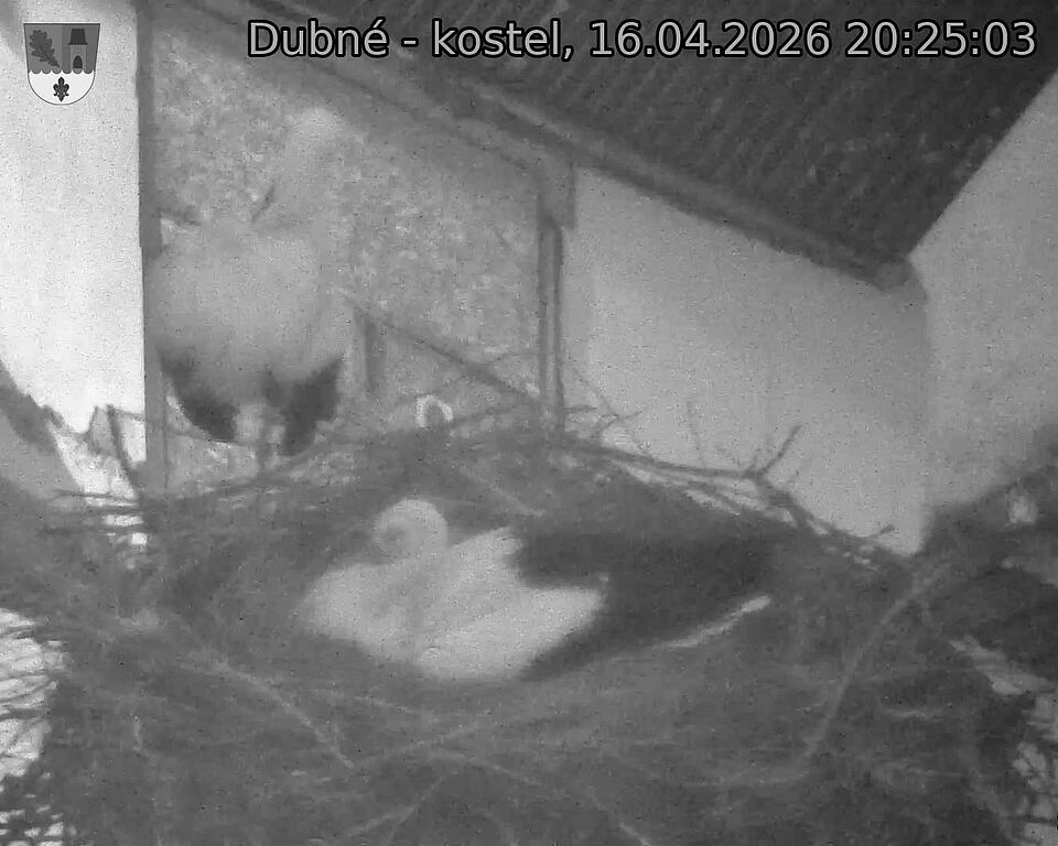 Capi_Dubne_20260416_202503.jpg (1350&nbsp;x&nbsp;1080)