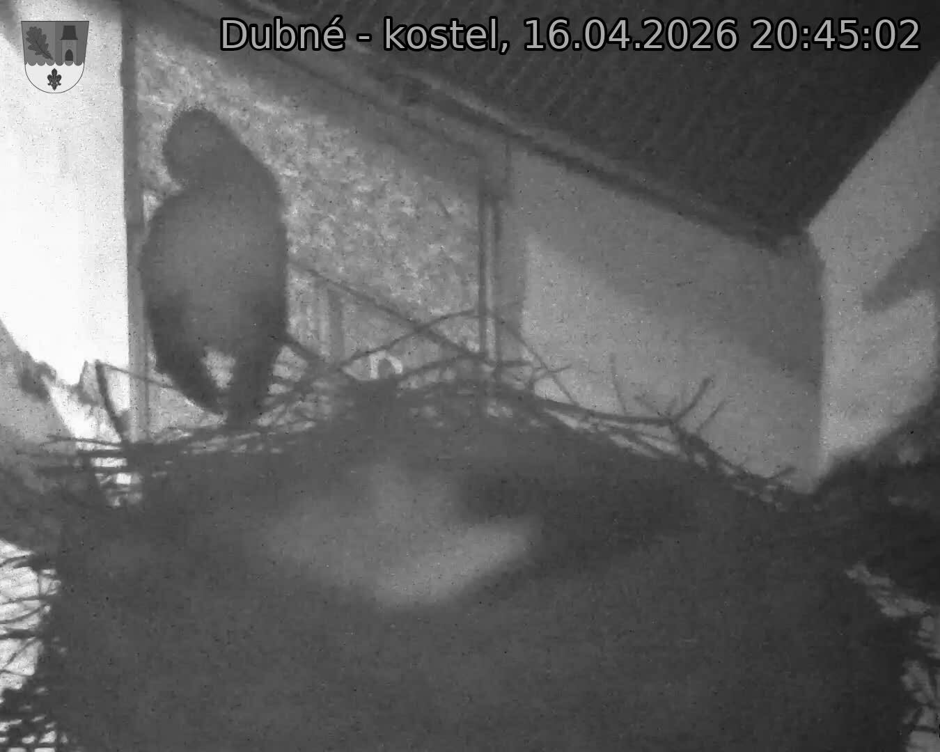Capi_Dubne_20260416_204502.jpg (1350&nbsp;x&nbsp;1080)