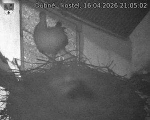 Capi_Dubne_20260416_210502.jpg (1350&nbsp;x&nbsp;1080)