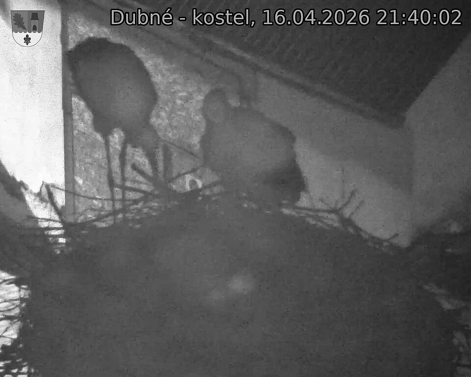 Capi_Dubne_20260416_214002.jpg (1350&nbsp;x&nbsp;1080)