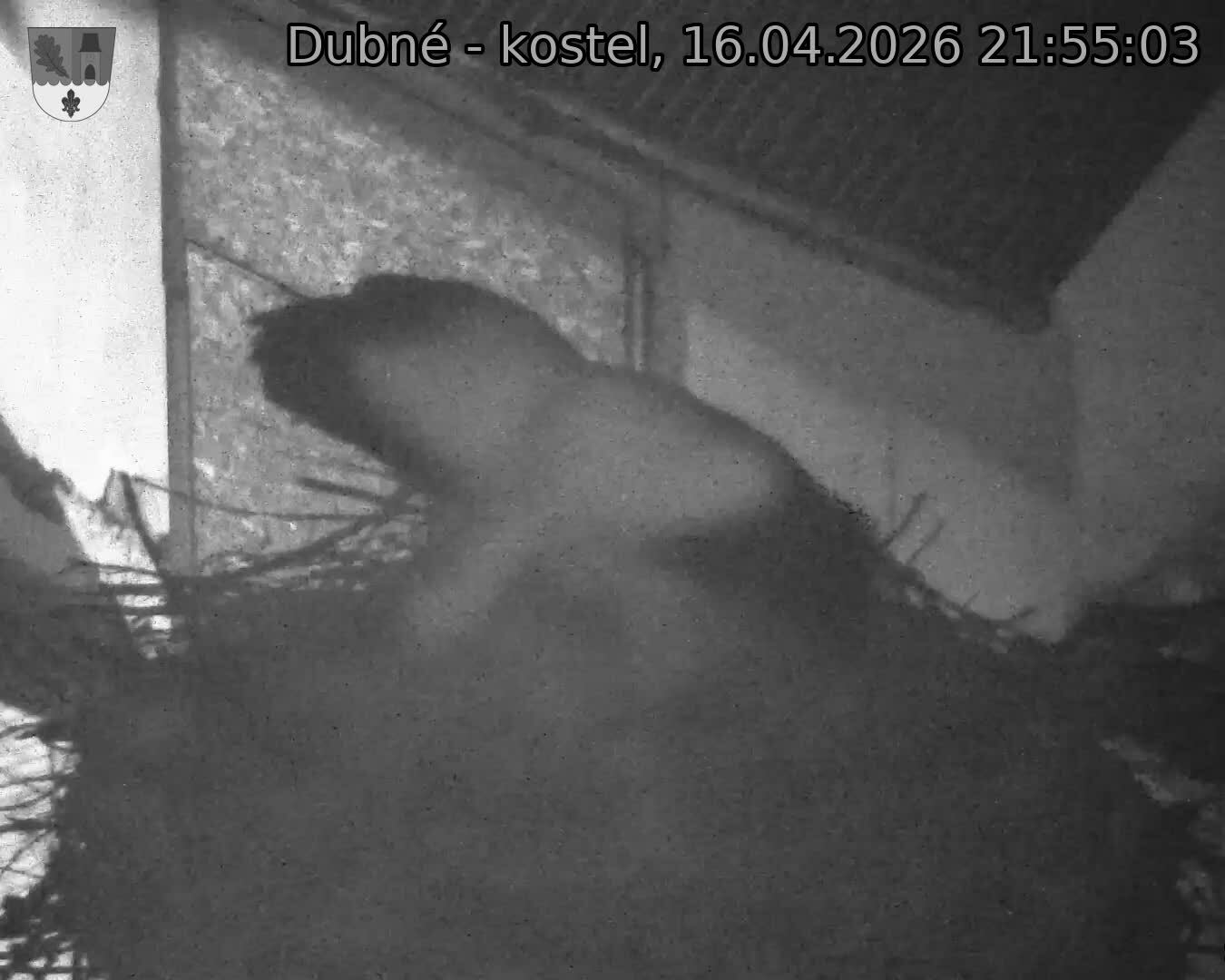 Capi_Dubne_20260416_215503.jpg (1350&nbsp;x&nbsp;1080)