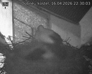 Capi_Dubne_20260416_223003.jpg (1350&nbsp;x&nbsp;1080)