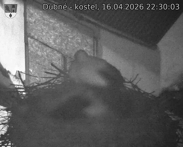 Capi_Dubne_20260416_223003.jpg (1350&nbsp;x&nbsp;1080)