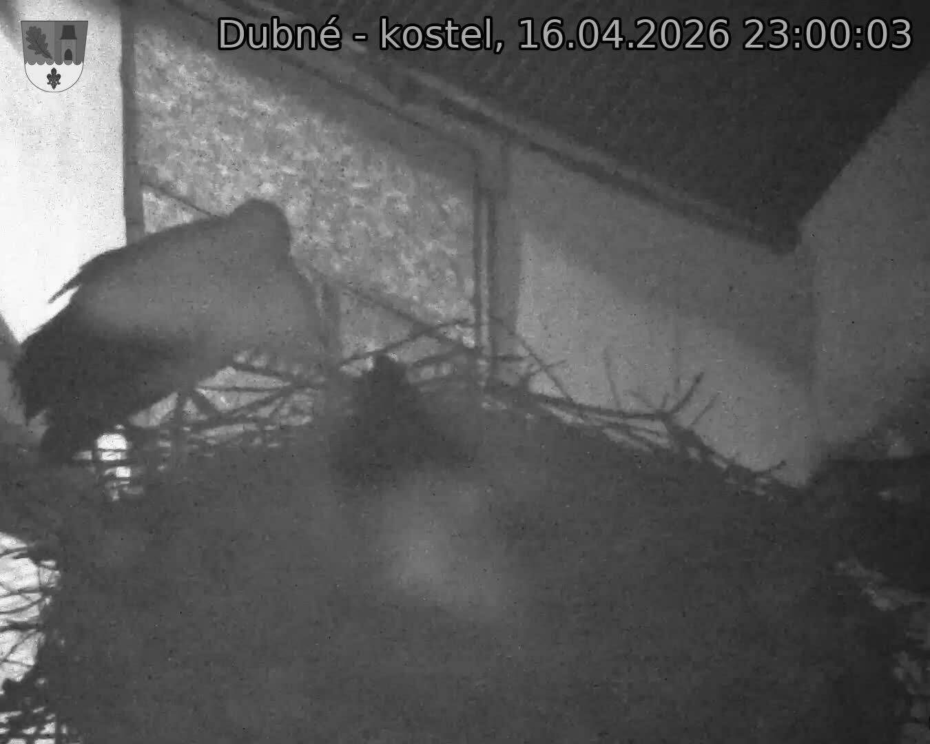 Capi_Dubne_20260416_230003.jpg (1350&nbsp;x&nbsp;1080)