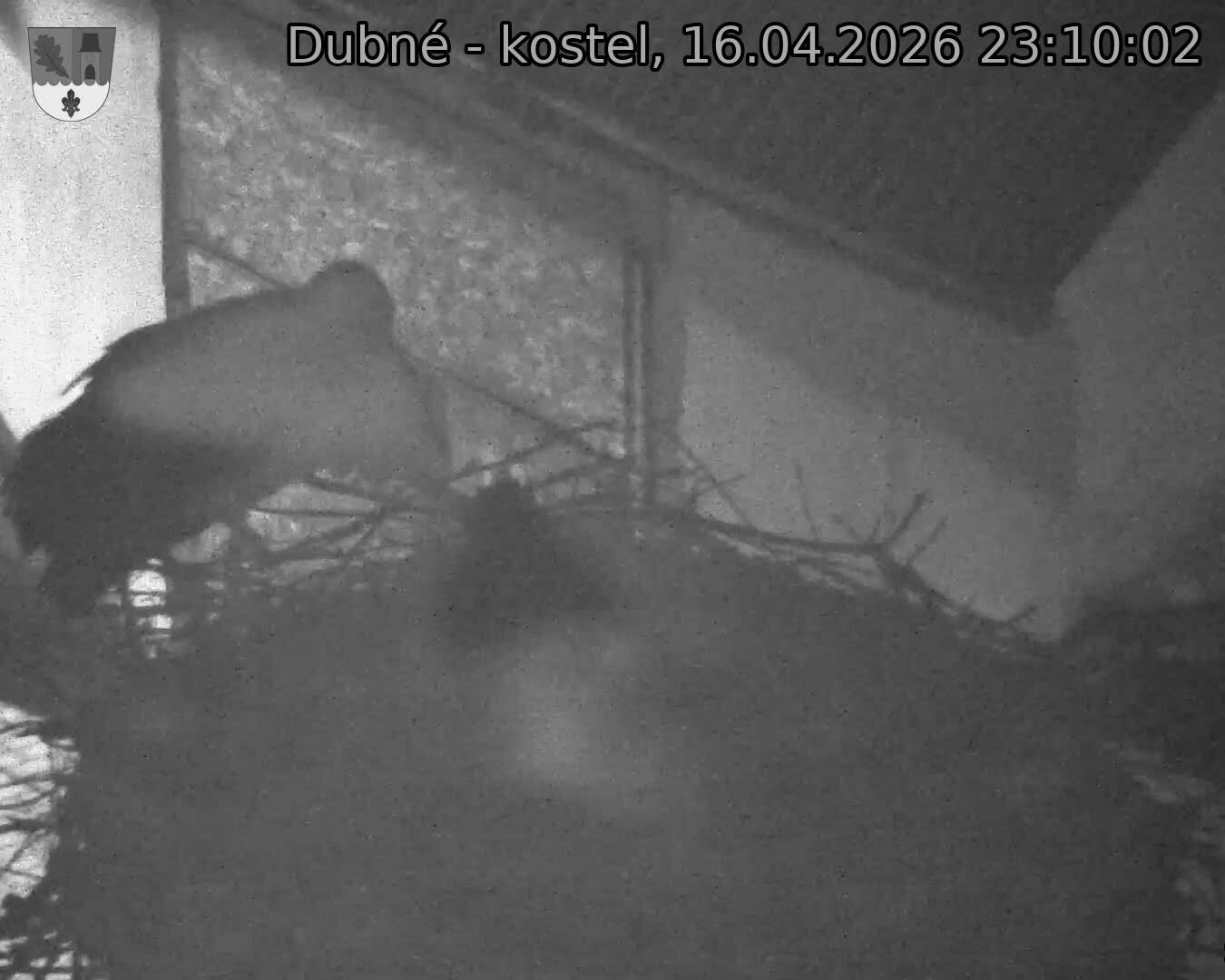 Capi_Dubne_20260416_231002.jpg (1350&nbsp;x&nbsp;1080)