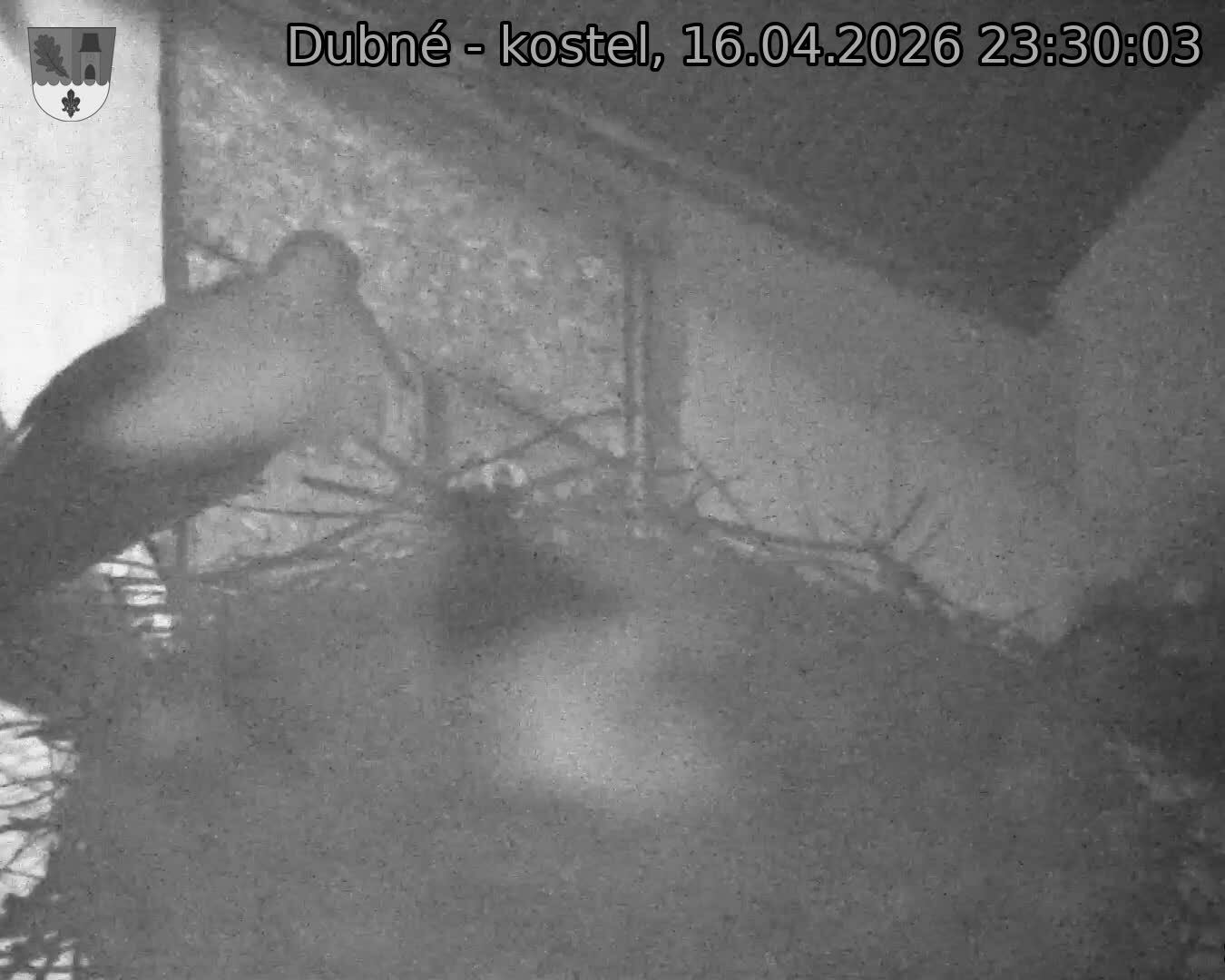 Capi_Dubne_20260416_233003.jpg (1350&nbsp;x&nbsp;1080)