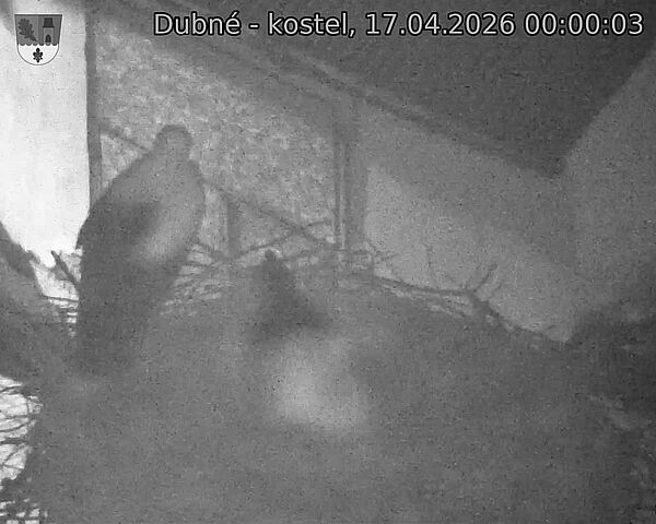 Capi_Dubne_20260417_000003.jpg (1350&nbsp;x&nbsp;1080)