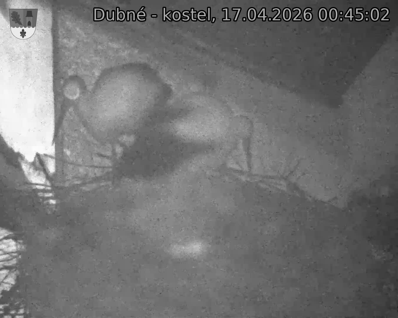 Capi_Dubne_20260417_004502.jpg (1350&nbsp;x&nbsp;1080)