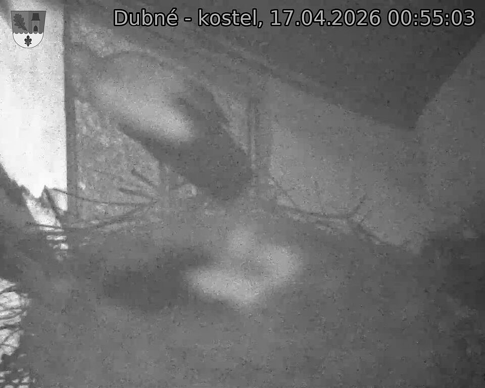Capi_Dubne_20260417_005503.jpg (1350&nbsp;x&nbsp;1080)