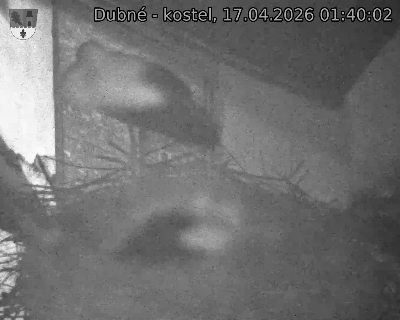 Capi_Dubne_20260417_014002.jpg (1350&nbsp;x&nbsp;1080)