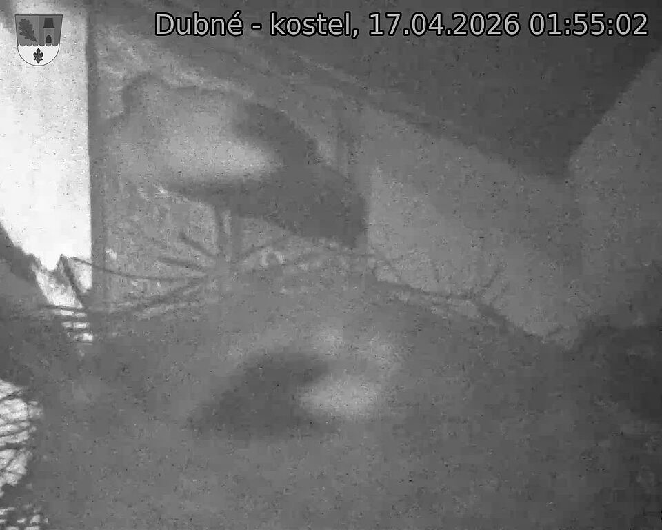 Capi_Dubne_20260417_015502.jpg (1350&nbsp;x&nbsp;1080)