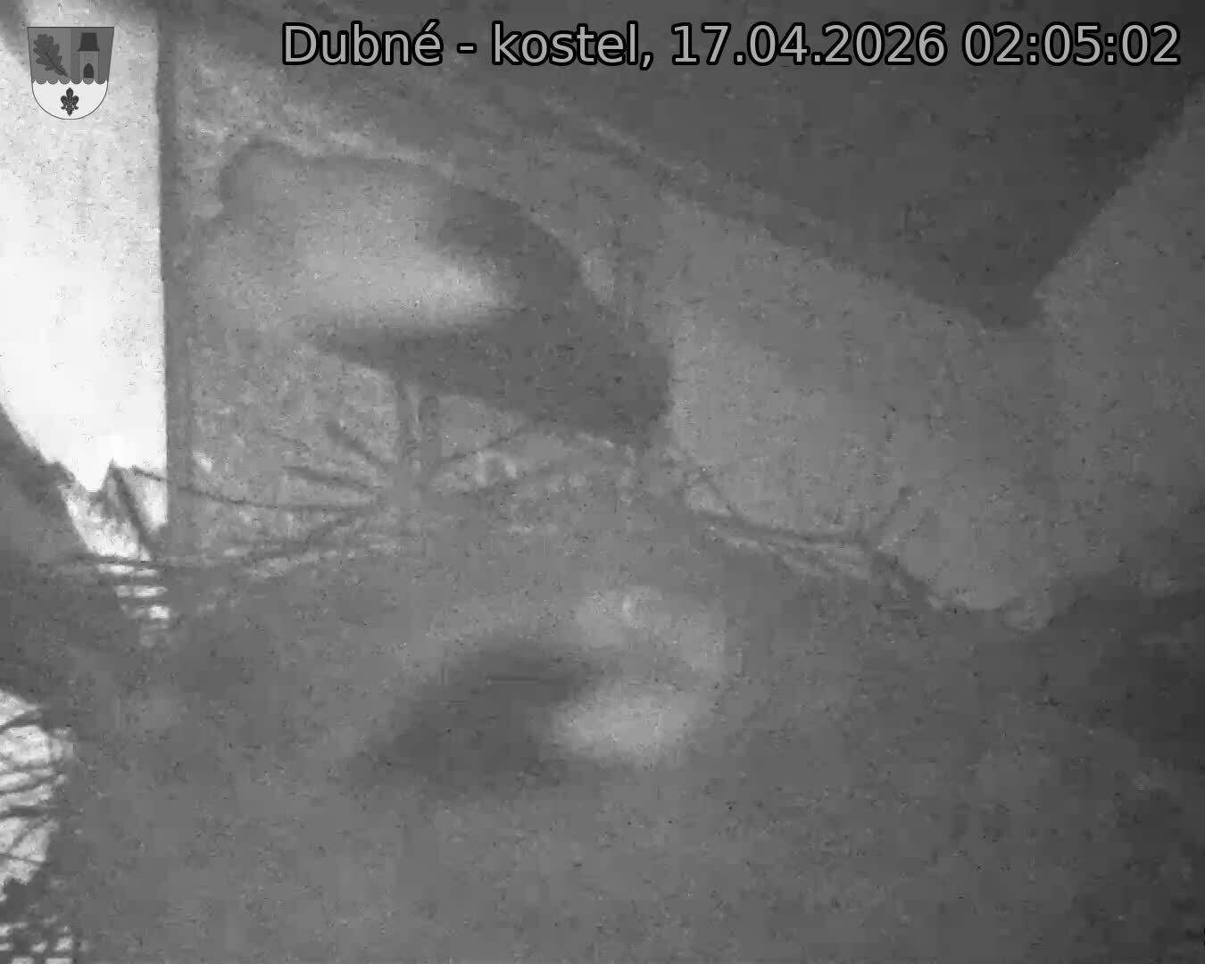 Capi_Dubne_20260417_020502.jpg (1350&nbsp;x&nbsp;1080)