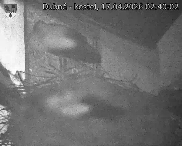 Capi_Dubne_20260417_024002.jpg (1350&nbsp;x&nbsp;1080)