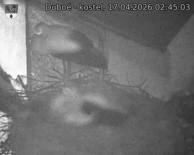 Capi_Dubne_20260417_024503.jpg (1350&nbsp;x&nbsp;1080)