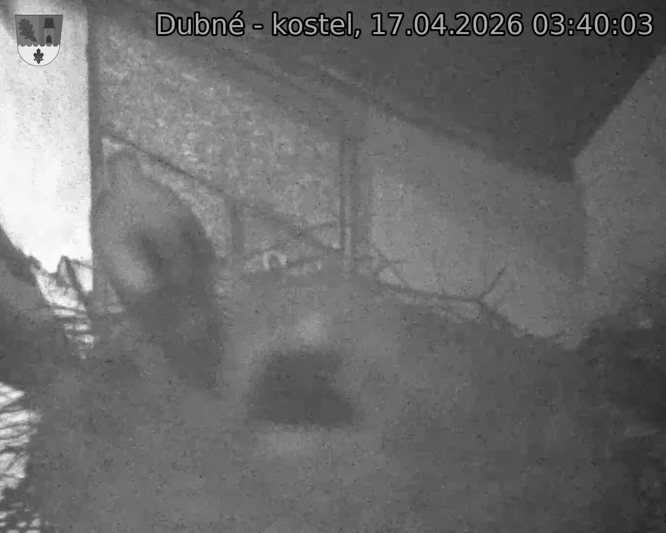 Capi_Dubne_20260417_034003.jpg (1350&nbsp;x&nbsp;1080)
