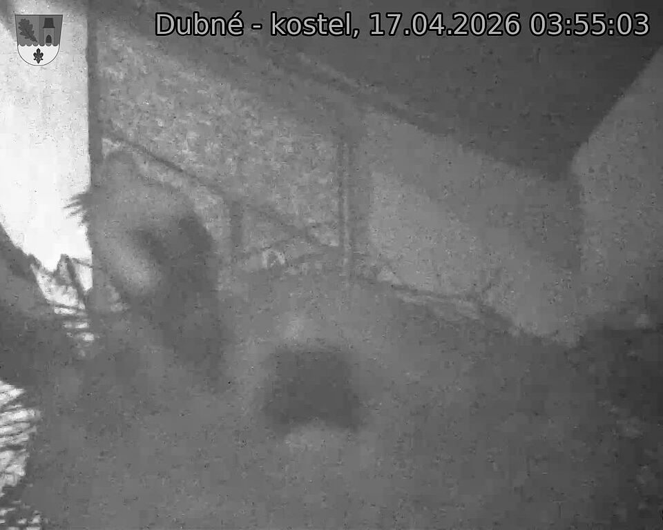 Capi_Dubne_20260417_035503.jpg (1350&nbsp;x&nbsp;1080)
