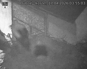 Capi_Dubne_20260417_035503.jpg (1350&nbsp;x&nbsp;1080)