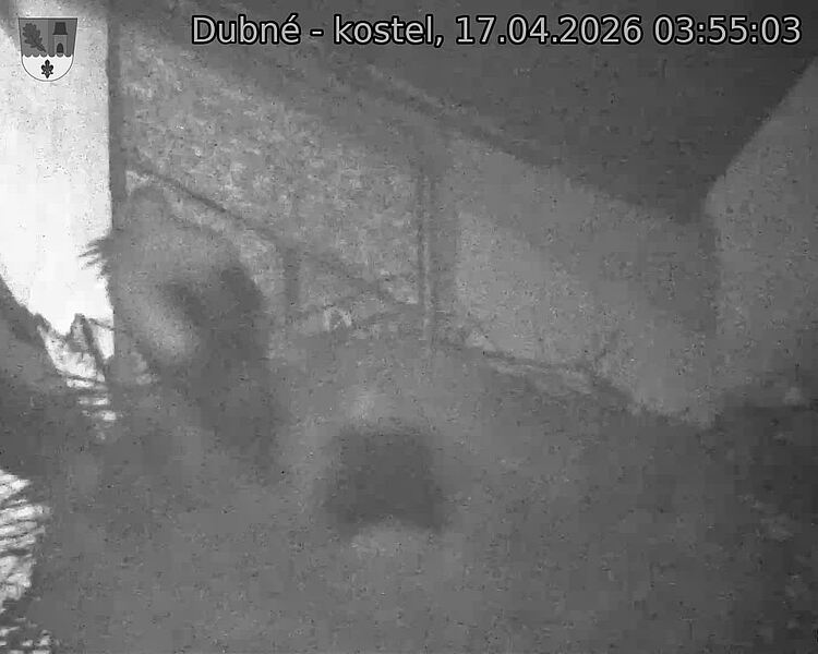 Capi_Dubne_20260417_035503.jpg (1350&nbsp;x&nbsp;1080)