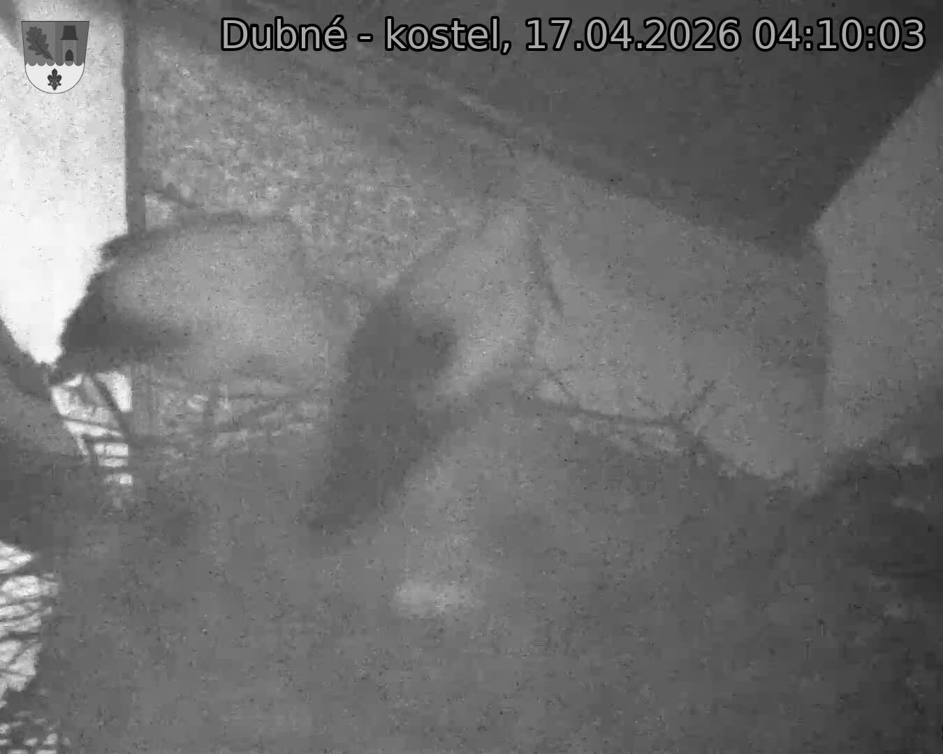 Capi_Dubne_20260417_041003.jpg (1350&nbsp;x&nbsp;1080)