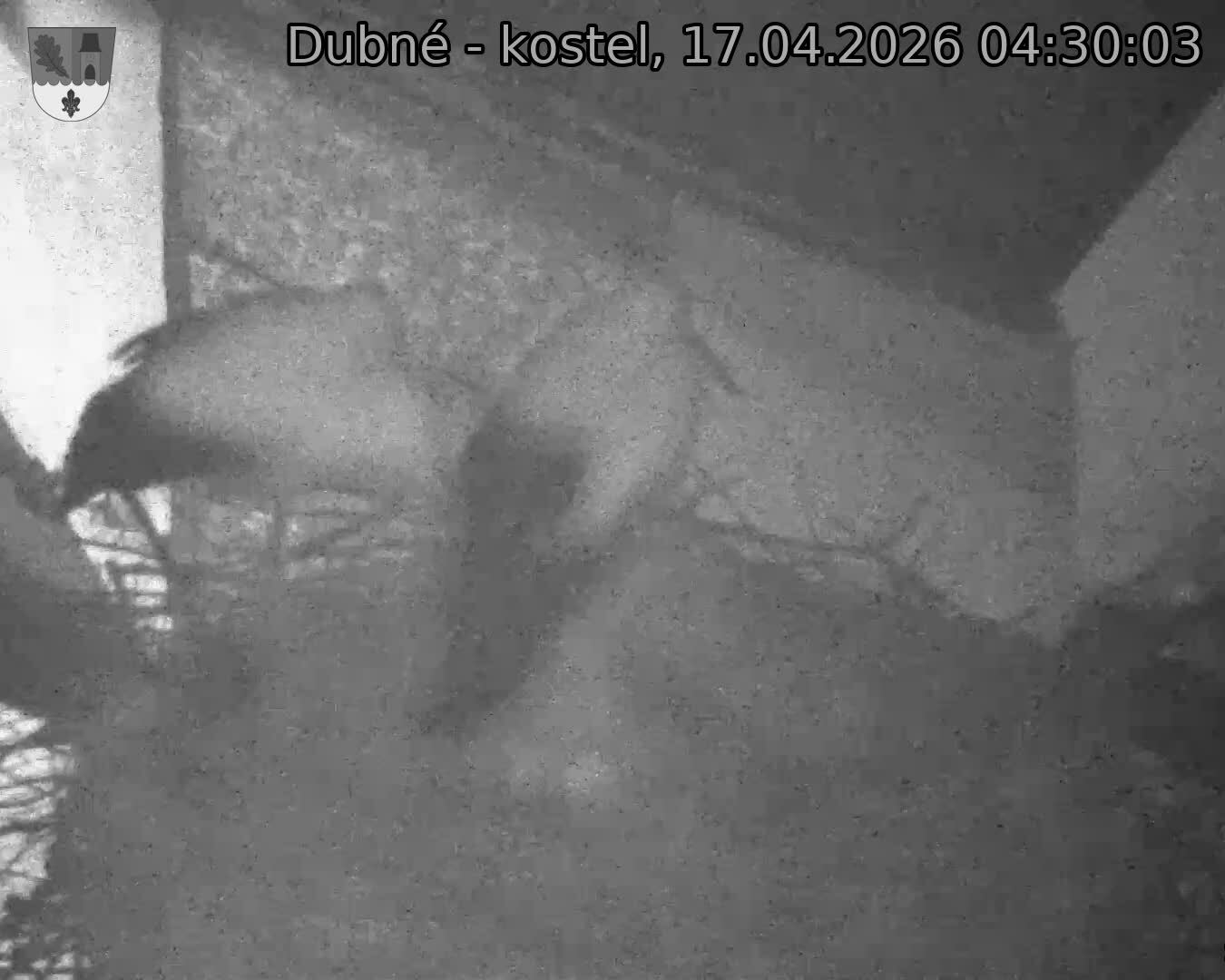 Capi_Dubne_20260417_043003.jpg (1350&nbsp;x&nbsp;1080)