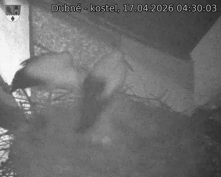 Capi_Dubne_20260417_043003.jpg (1350&nbsp;x&nbsp;1080)