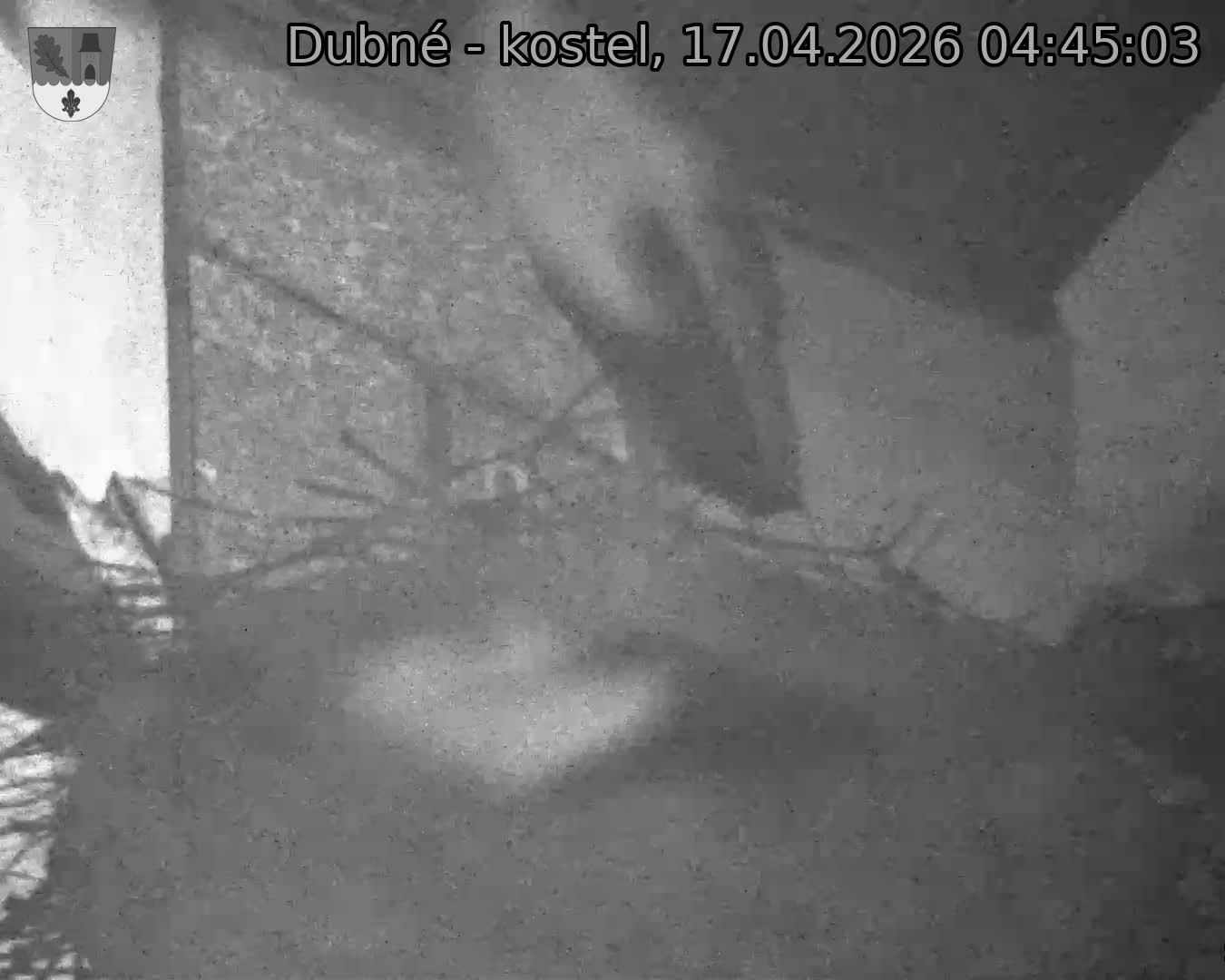 Capi_Dubne_20260417_044503.jpg (1350&nbsp;x&nbsp;1080)