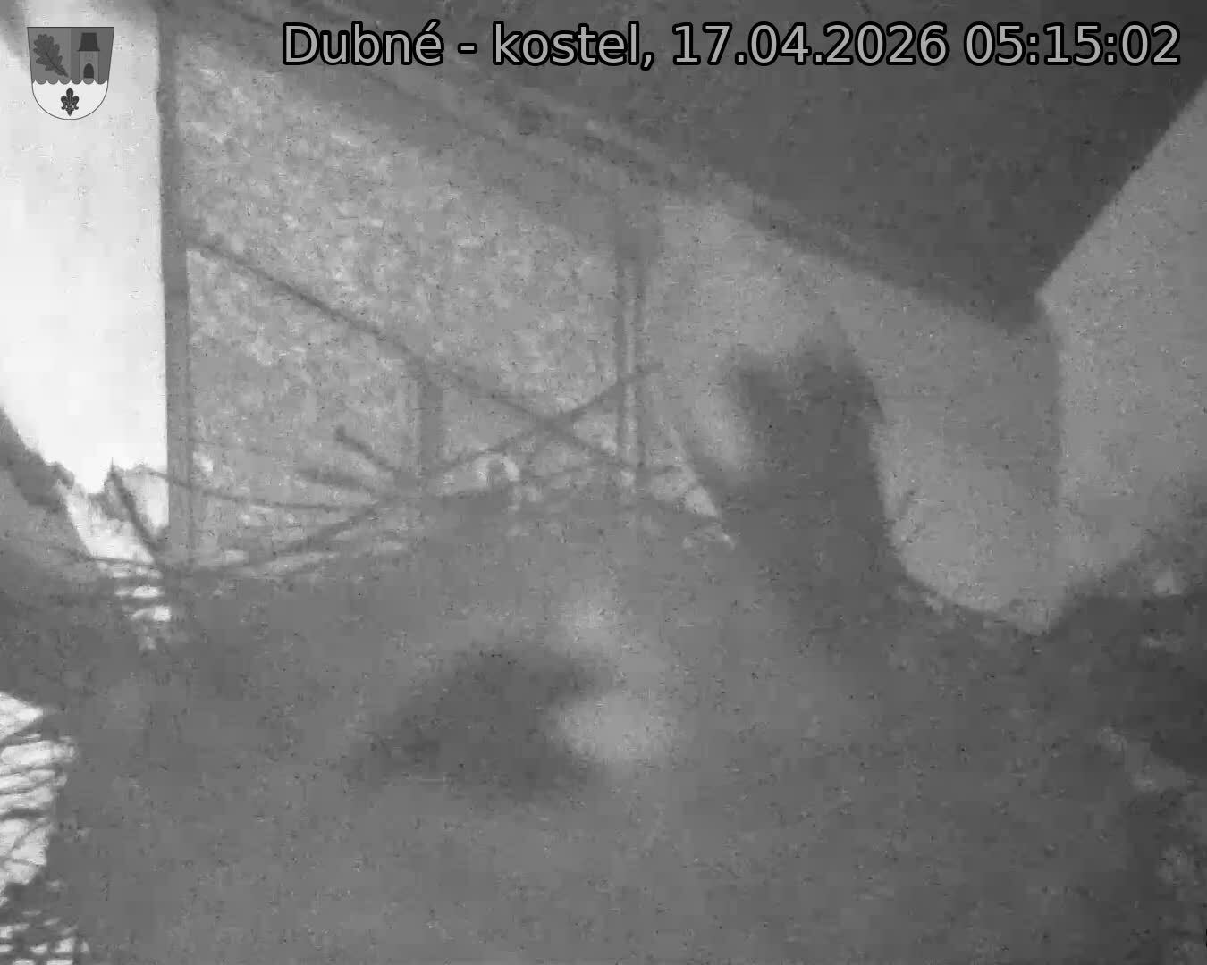 Capi_Dubne_20260417_051502.jpg (1350&nbsp;x&nbsp;1080)