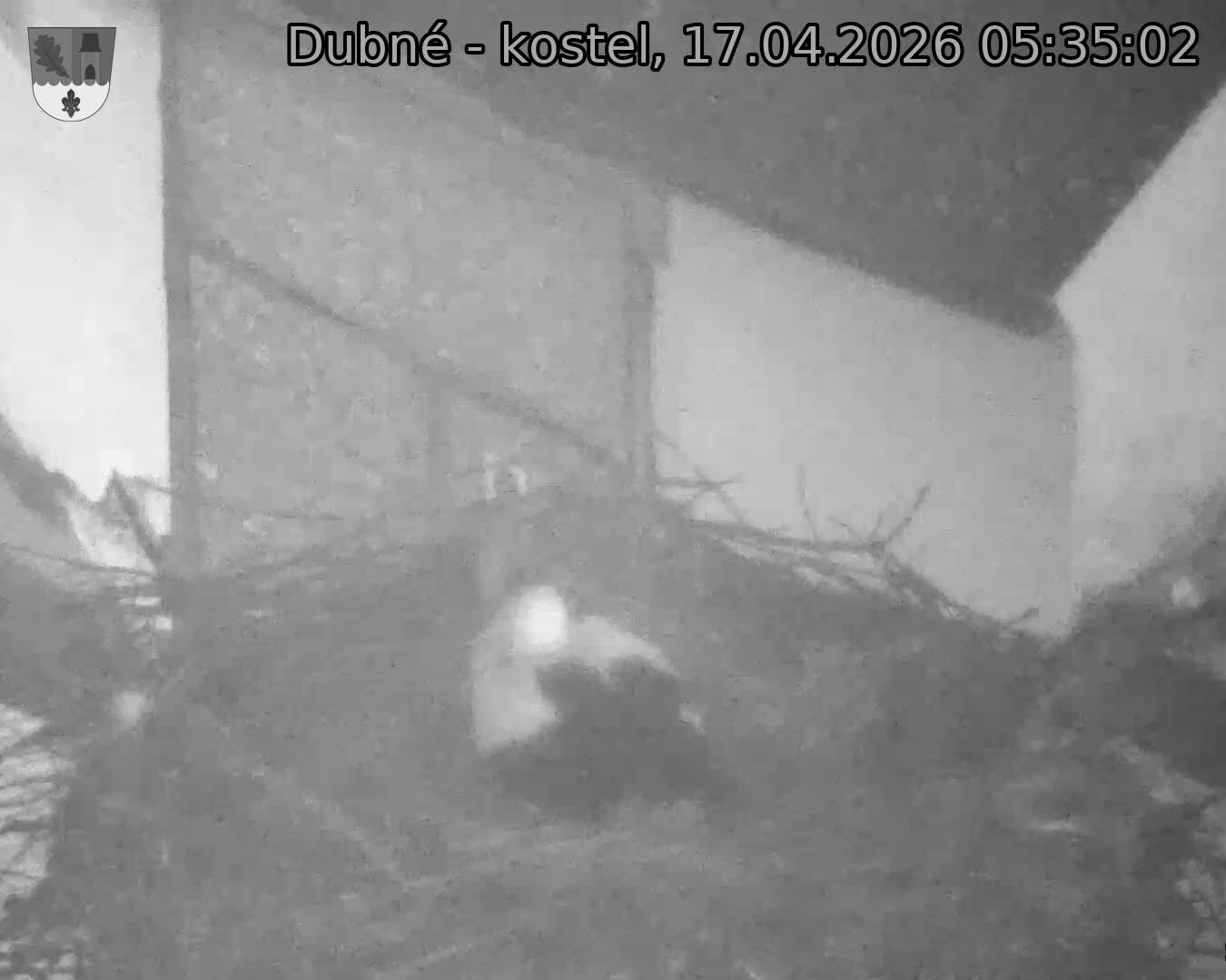 Capi_Dubne_20260417_053502.jpg (1350&nbsp;x&nbsp;1080)